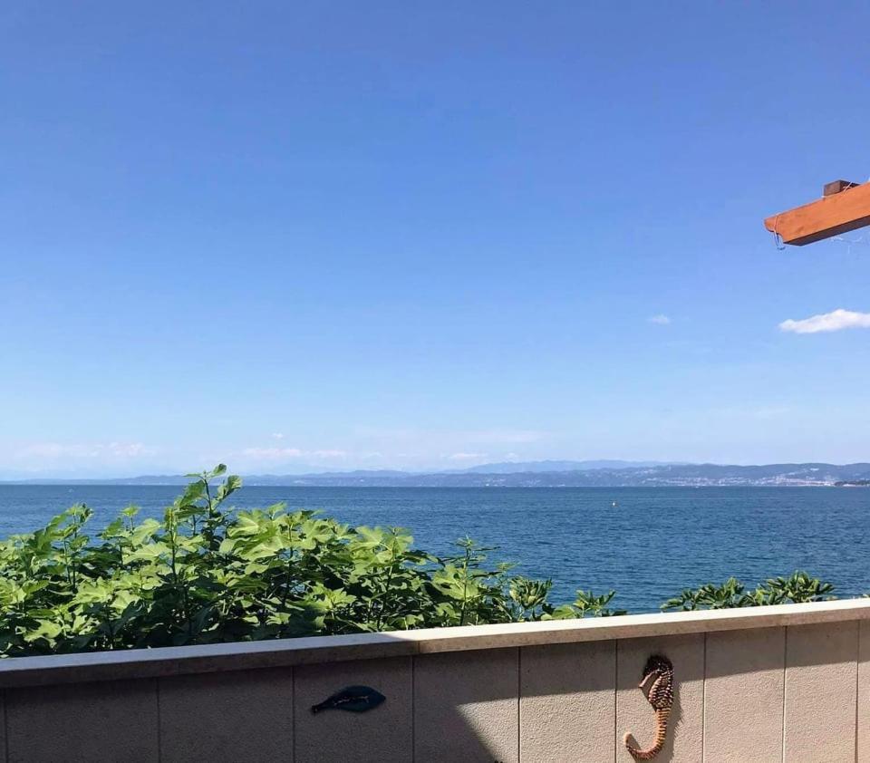Apartmaji Pri Bosi Nogi Izola Εξωτερικό φωτογραφία